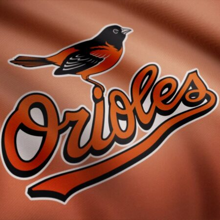 Baltimore Orioles Top Prospects From the Minor League